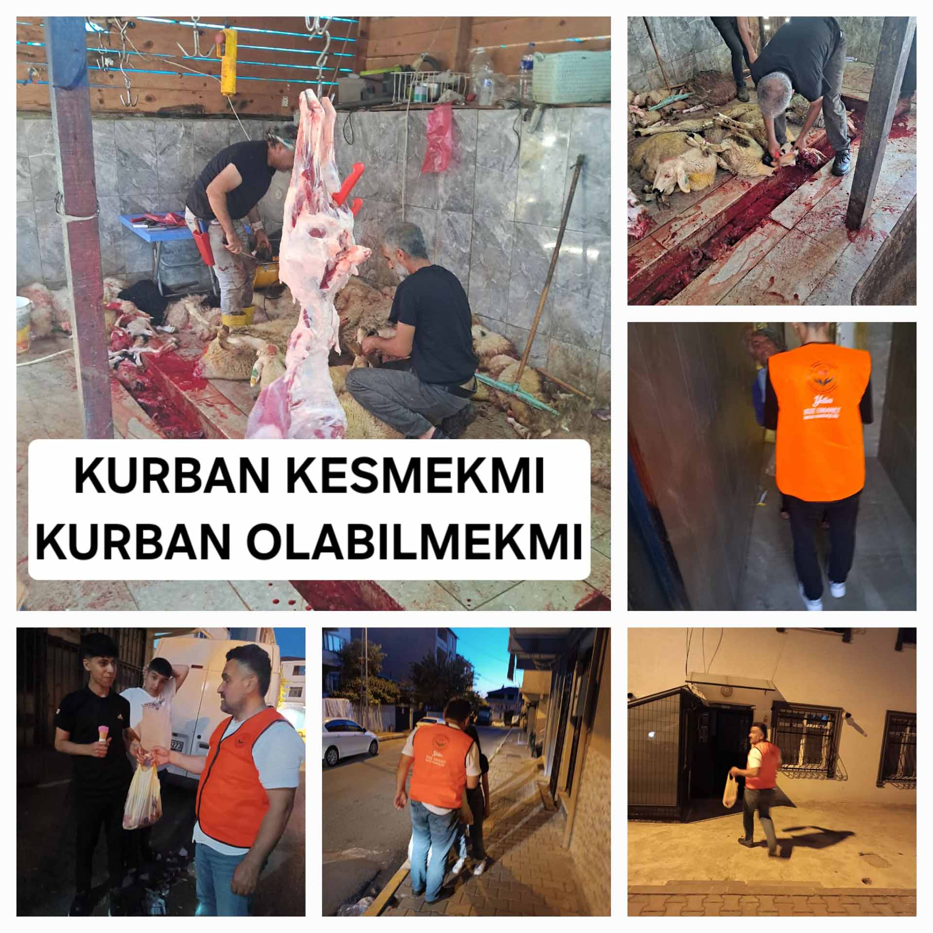 Kurban Kesimi ve bağışlarınız!